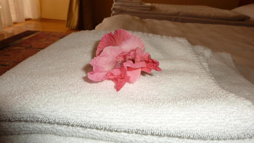 Komárno Hotel Banderium חדר תמונה